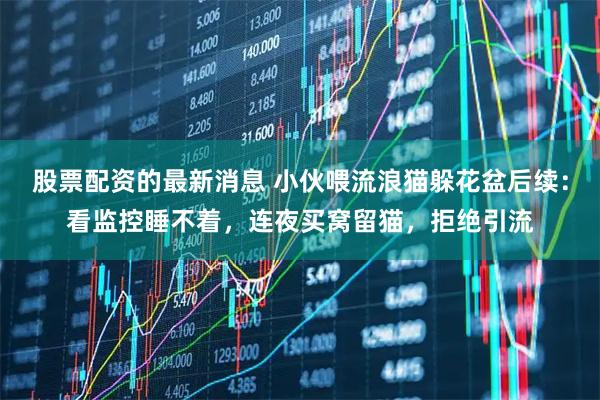 股票配资的最新消息 小伙喂流浪猫躲花盆后续：看监控睡不着，连夜买窝留猫，拒绝引流