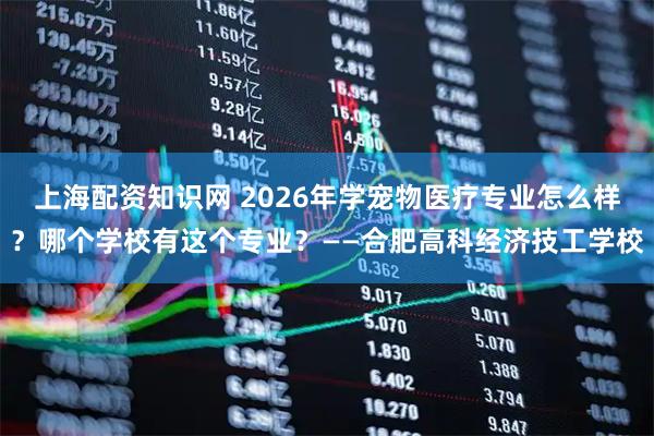 上海配资知识网 2026年学宠物医疗专业怎么样？哪个学校有这个专业？——合肥高科经济技工学校