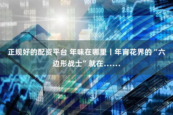 正规好的配资平台 年味在哪里丨年宵花界的“六边形战士”就在……