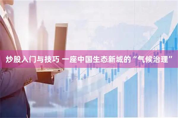 炒股入门与技巧 一座中国生态新城的“气候治理”