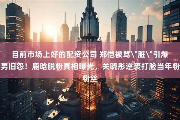 目前市场上好的配资公司 郑恺被骂